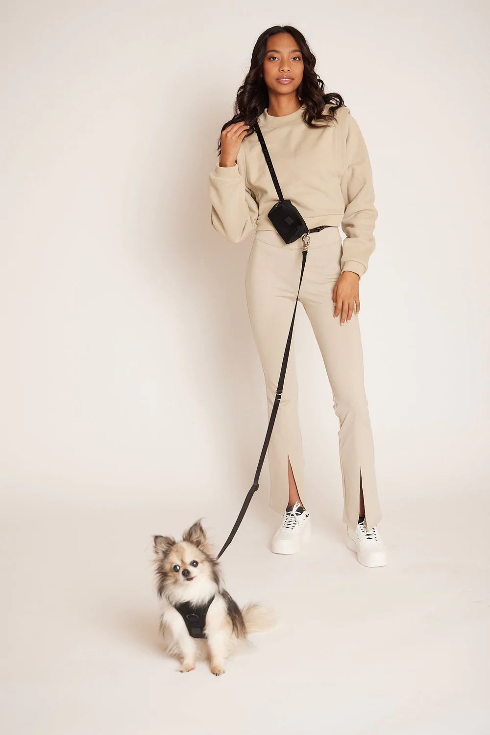 Hands free best sale dog lead