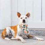 Load image into Gallery viewer, Peaches and Cream Dog Bandana

