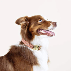 St. Frank Chevron Kilim Boho Dog Collar