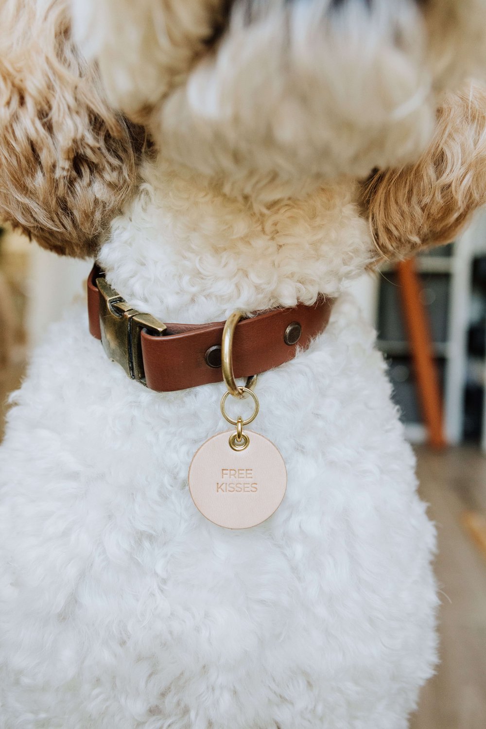 ‘Free Kisses’ Leather Pet Collar Tag